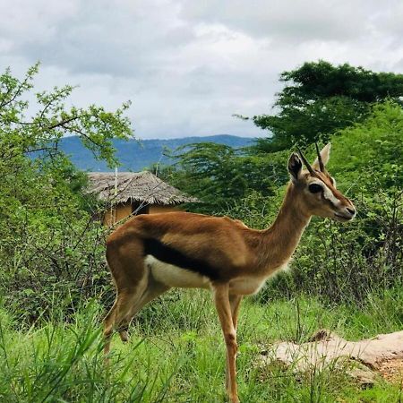 Oldonyo Orok Lodge Kajiado المظهر الخارجي الصورة