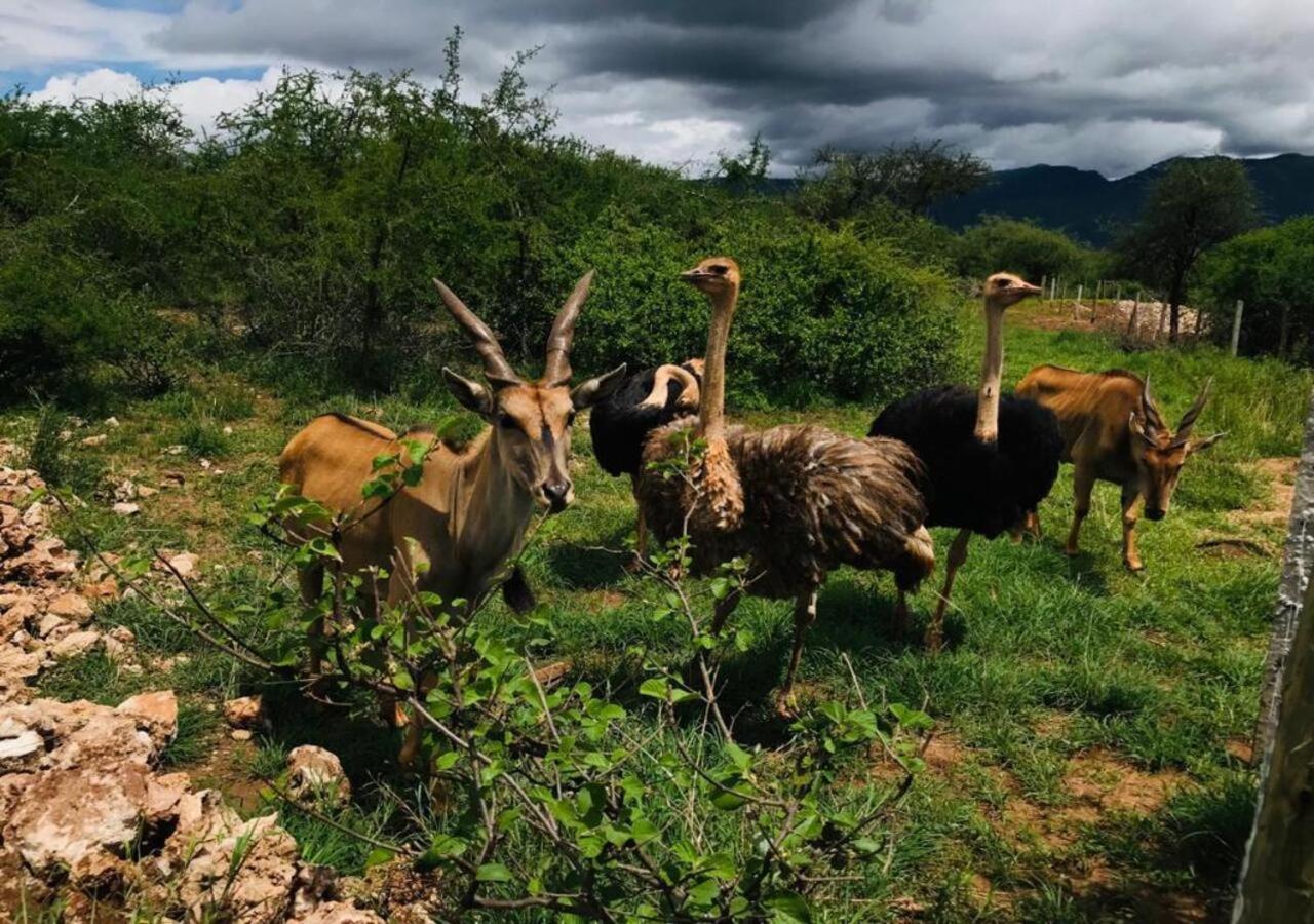 Oldonyo Orok Lodge Kajiado المظهر الخارجي الصورة