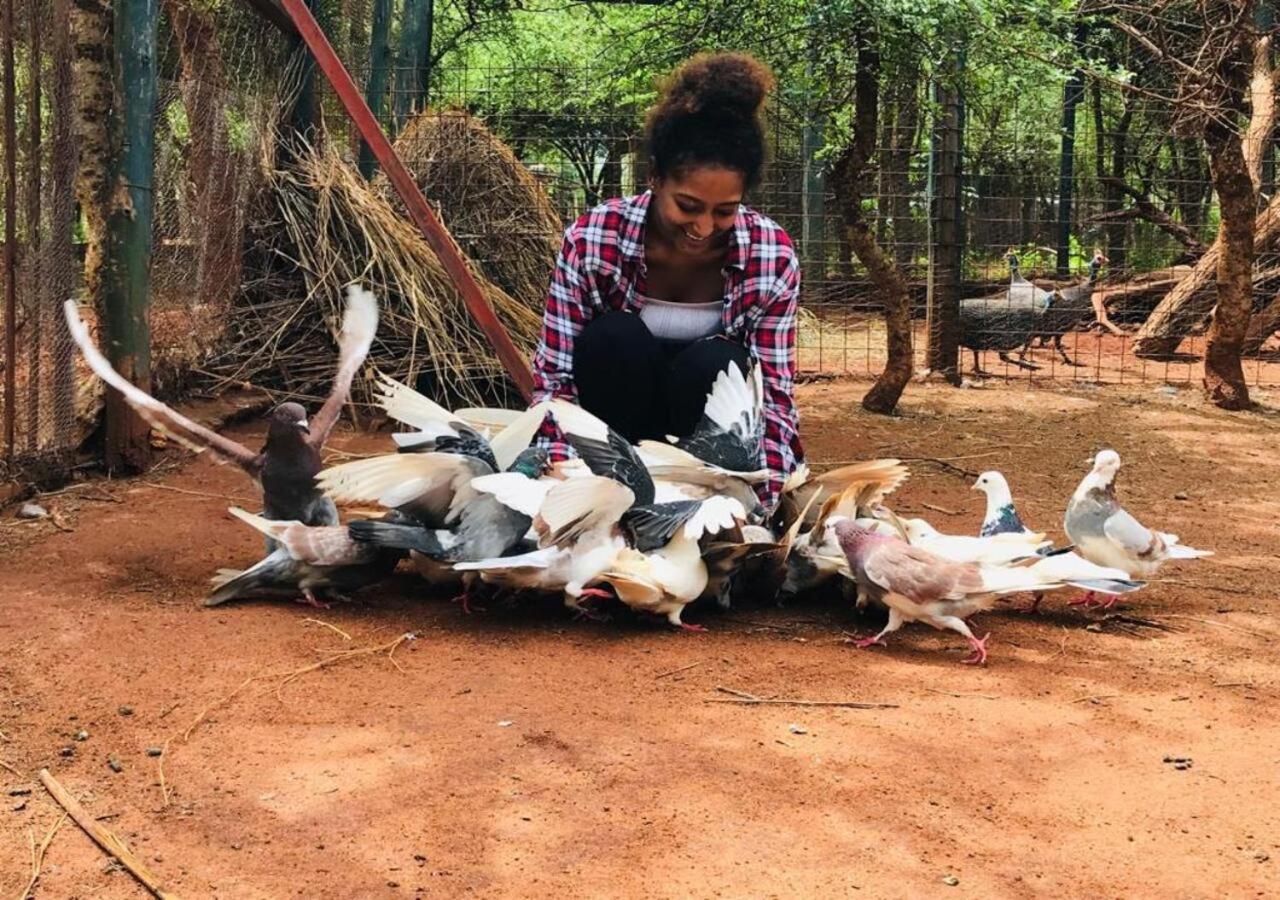 Oldonyo Orok Lodge Kajiado المظهر الخارجي الصورة