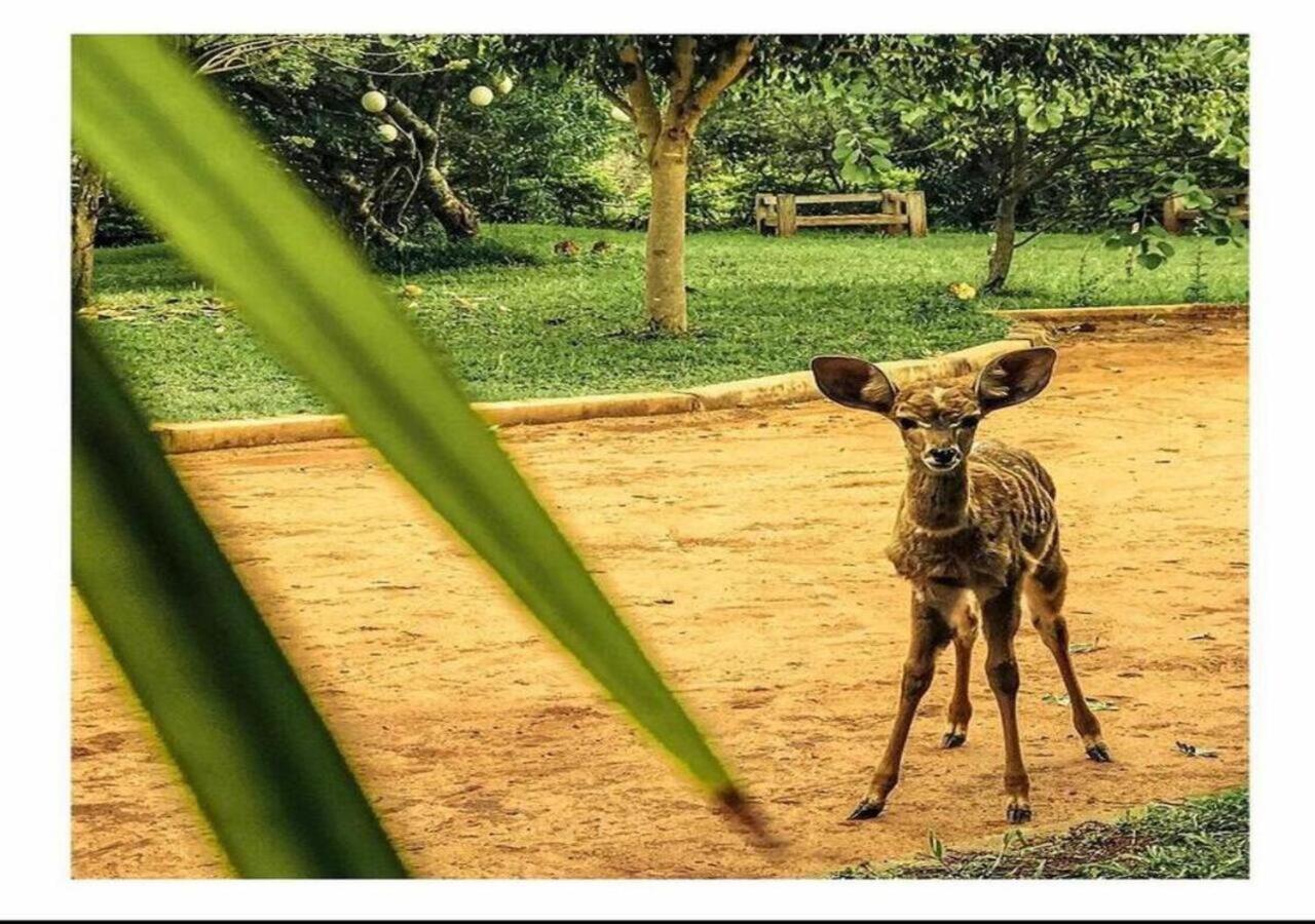 Oldonyo Orok Lodge Kajiado المظهر الخارجي الصورة