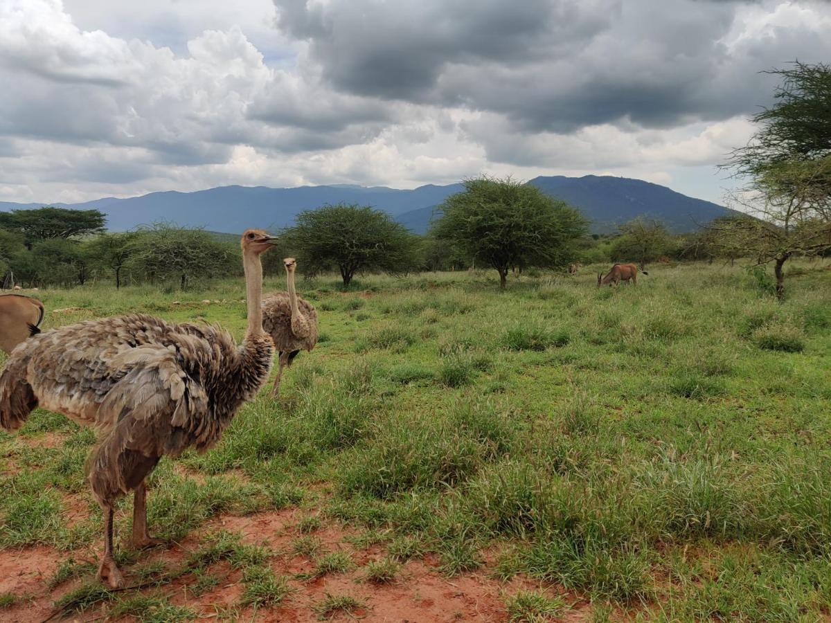 Oldonyo Orok Lodge Kajiado المظهر الخارجي الصورة