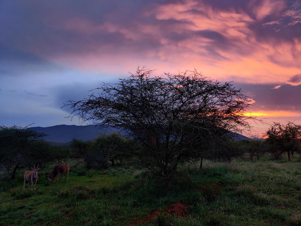 Oldonyo Orok Lodge Kajiado المظهر الخارجي الصورة